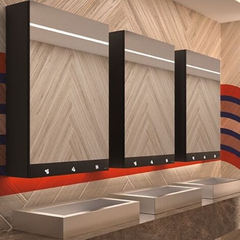 Armoire miroir 4 fonctions : Miroir, Robinet automatique, distributeur de savon, distributeur essuie-mains Delabie Dimensions 60 cm