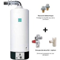 Styx – Pack accumulateur gaz 115L avec ventouse – Groupe de sécurité vertical 3/4" – Siphon NF – Raccords diélectriques 3/4"