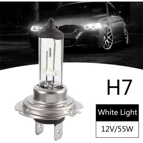 Ampoules H7 Halogène 12V 55W - Pack Éclairage Avant Standard Haute Performance