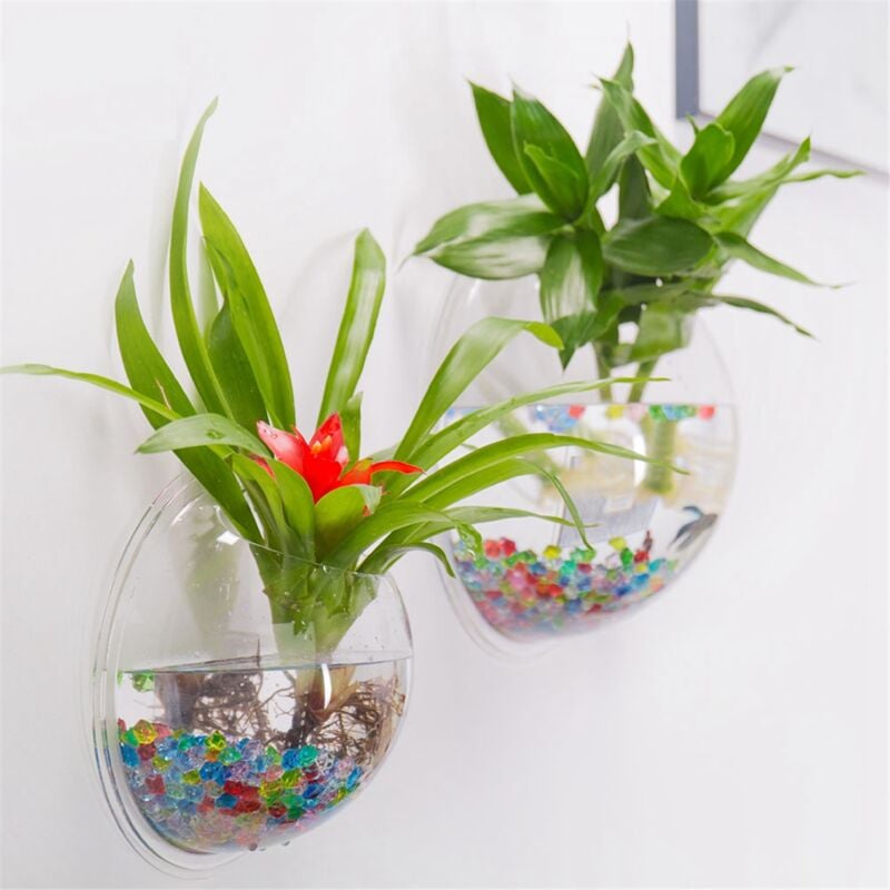 Acheter Tenture murale hydroponique bulle Aquarium poisson verre bricolage  Pot Vase plante décor à la maison
