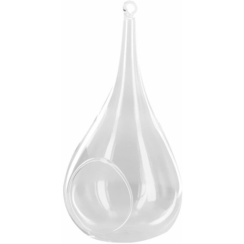 Vase en Verre Transparent Mural Forme de Conique pour Plante Fleur