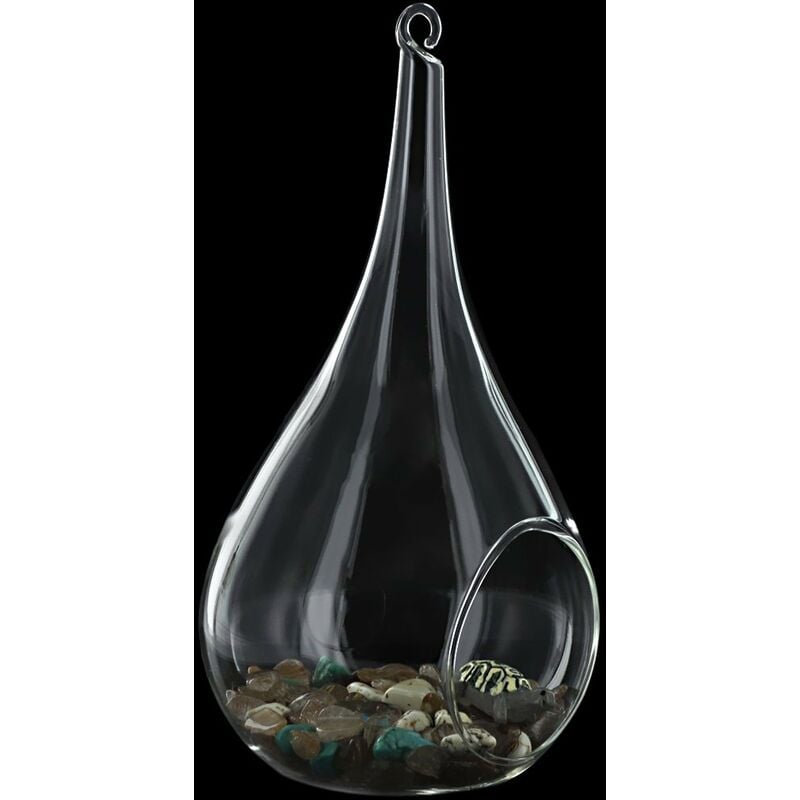 Vase en Verre Transparent Mural Forme de Conique pour Plante Fleur