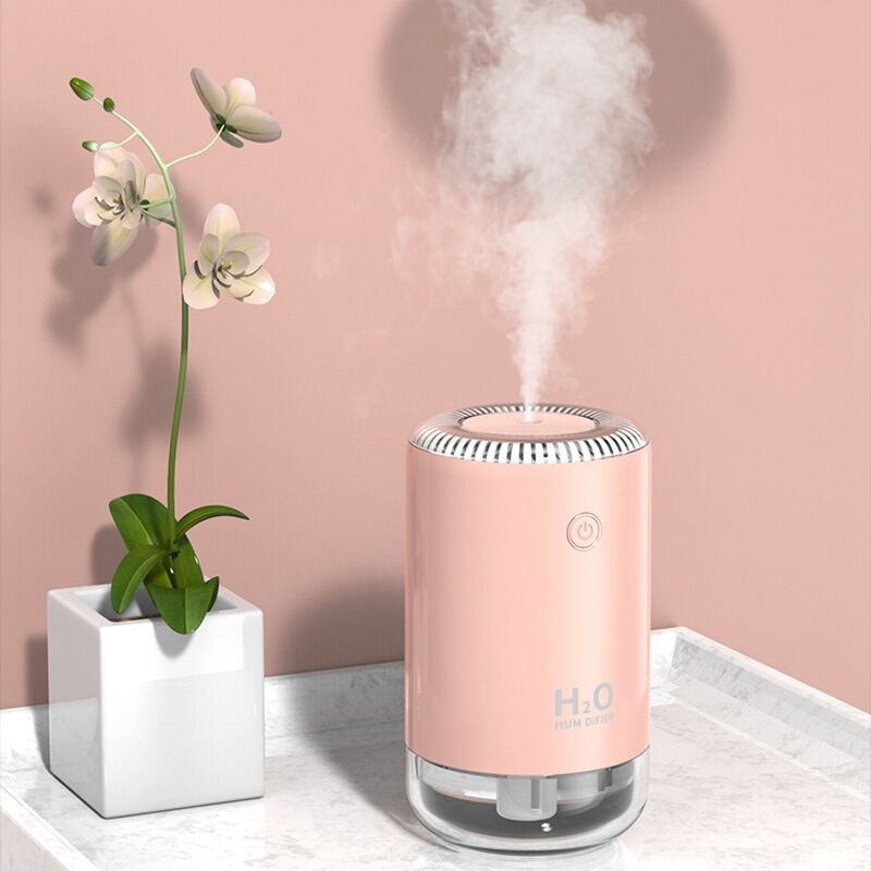 H2O-Mini humidificateur d'air portable USB, diffuseur d'arômes, brume  fraîche