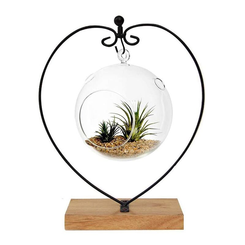 Présentoir D'ornement 6 Pièces, Support De Support Suspendu En Fer Noir  Pour Suspendre Un Terrarium De Plantes Aériennes En Verre, Boule De  Sorcière