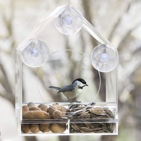 Mangeoire à oiseaux en forme de maison, ventouse transparente
