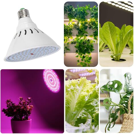 Ampoule de croissance LED pour serre, lampe Phyto E14, lumière