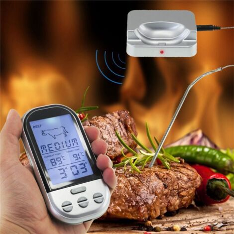 Thermomètre à sonde alimentaire Thermomètre à Viande de Cuisson Numérique à  Sonde, Thermomètre pour Barbecue jardin ustensile
