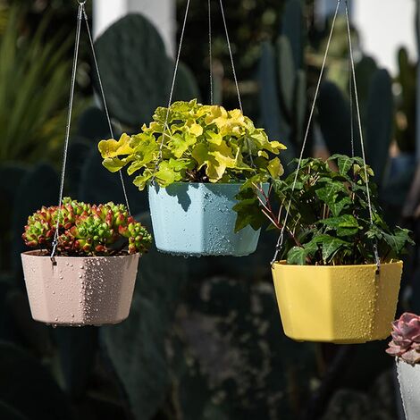 Jardinières d'arrosage Pots de fleurs suspendus d'intérieur, panier de pot  suspendu extérieur de 6,5 pouces (+ gris)