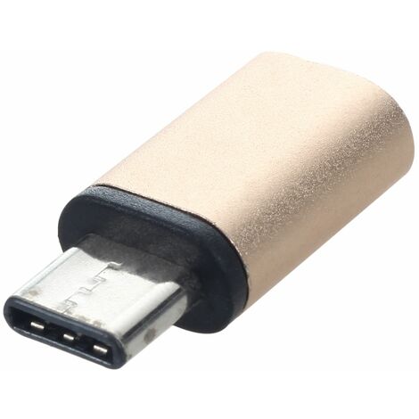 Mini Type-C Connecteur Mâle Vers USB 2.0 USB 3.1 Convertisseur Adaptateur de  DonnéEs Or