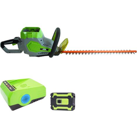 Tagliasiepi a batteria 60V Akita + batteria + Caricabatterie (1/5)