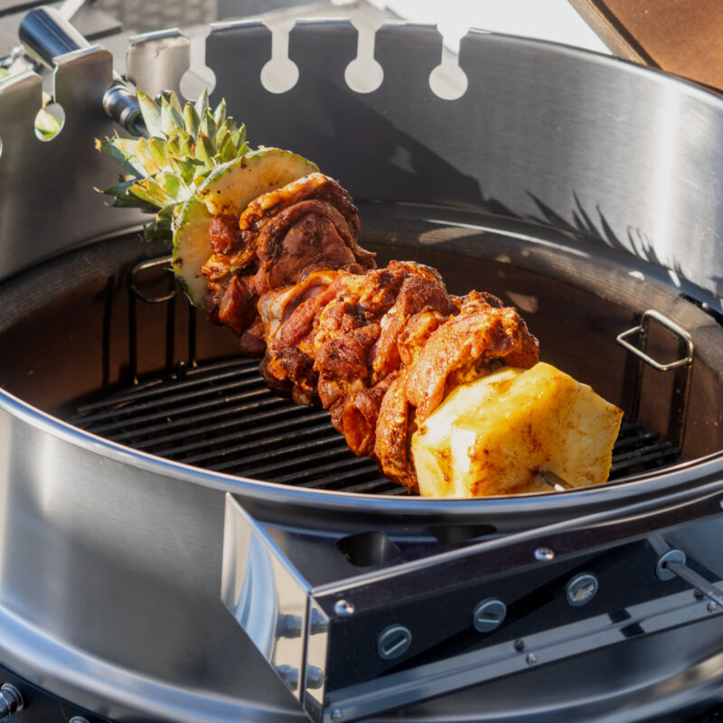 Spiedino verticale in acciaio , supporto verticale per carne per grigliare, per grigliare, cucina, campeggio, picnic, spiedini con piatto e 3 spiedini rimovibili