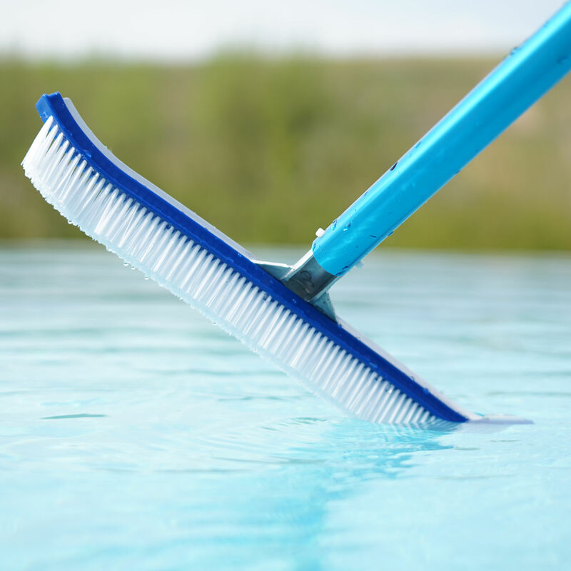 Zelsius Spazzola per piscina con angoli arrotondati, pulitore per