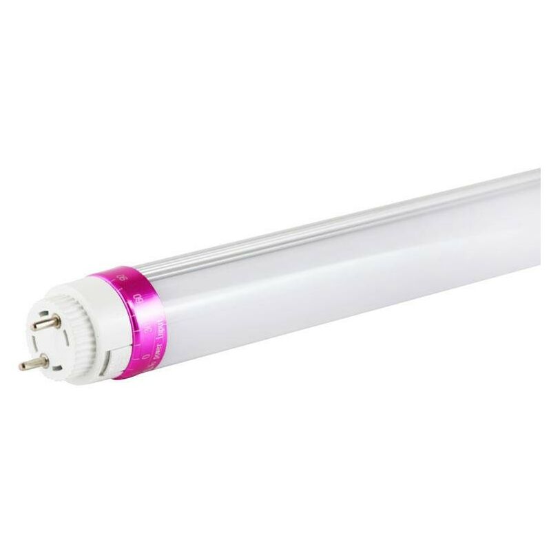 Tube LED T8 10W 600mm spécial boucherie