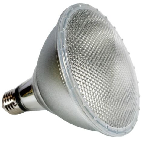 Ampoule LED PAR38 E27 12W IP65