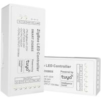 Contrôleur pour ruban LED CCT - 6A par canal - ZigBee/TUYA
