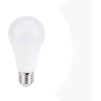 Ampoule 12-24 VDC 8W E27 A60 pour caravanes, camping-cars et - Blanc Froid