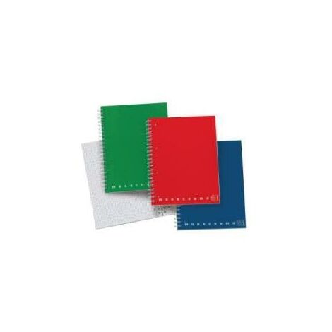 PIGNA MONOCROMO BLOCCO A4 80 GR QUADRETTI 5 M COLORI ASSORTITI 100 FOGLI  CONF 5 Pz.