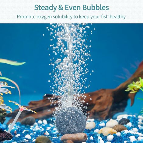 Set von 4 Aquarium 4CM Air Stone Bubble Disc Diffuser Release Tool für Luftpumpen  Aquarien Eimer