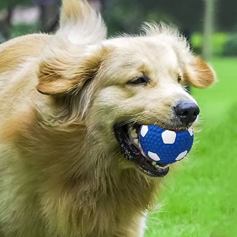 CREDIT 5 STAR Pelota de juguetes para perros, bola de golosinas que se  tambalea, para perros, juguetes interactivos para perros, pelota chirriante