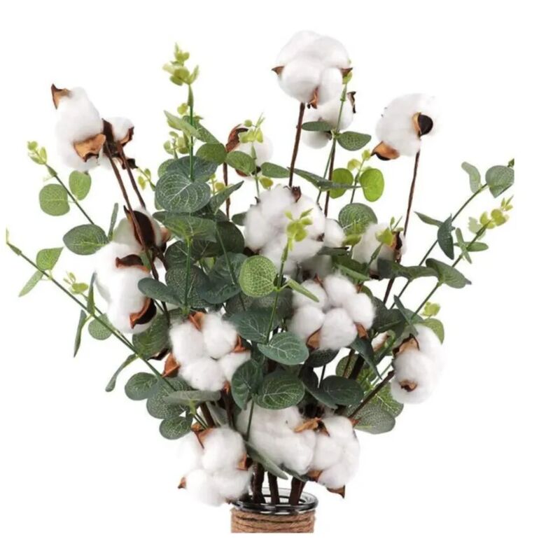 20 Piezas Rama de algodón Flores secas de algodón natural Ramas de algodón  Flores artificiales Flores
