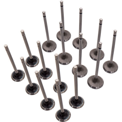 16×Einlassventil+Auslassventil Für Renault Clio Kangoo Laguna Megane 1,4 1,6 16V16×Einlassventil+Auslassventil Für Renault Clio Kangoo Laguna Megane 1,4 1,6 16V (1/5)