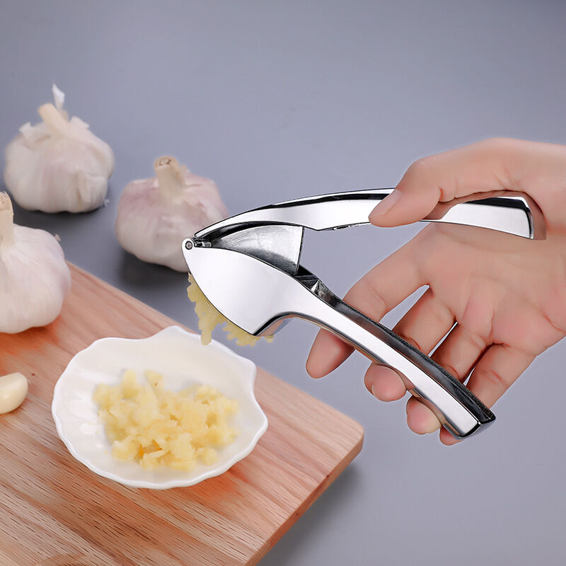 1pc Silver Zinc Alloy Manual Garlic Presser Masher Chopper, Garlic Slicer  Cutter Crusher