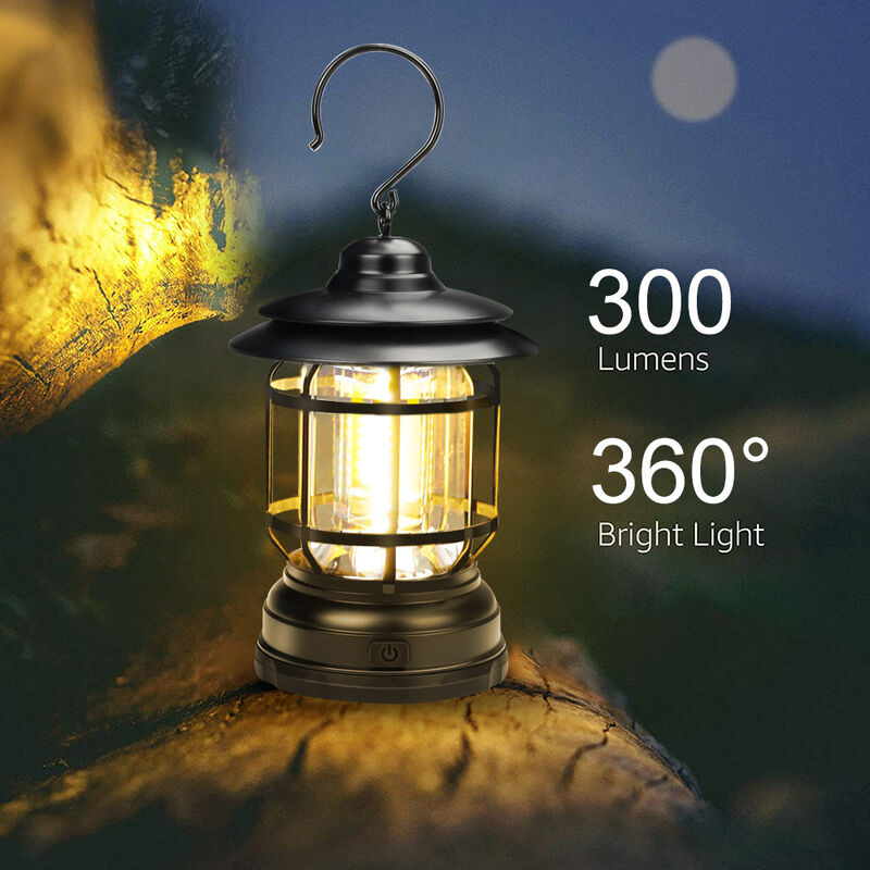 LED Camping Lantern, Wsky High Lumens Lanterns for Power Outages, 8 Camping  Lights Modes, Perfect Flashlight for Hurricane, Emergency Light, Storm,  Survival Kits, Hiking, Fishing, Tent, Home Battery Operated