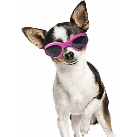 Small best sale dog goggles