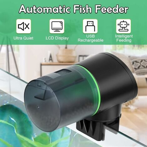 Fish feeder outlet timer