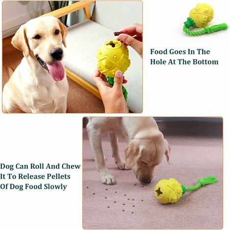 Indestructible dog best sale toy subscription