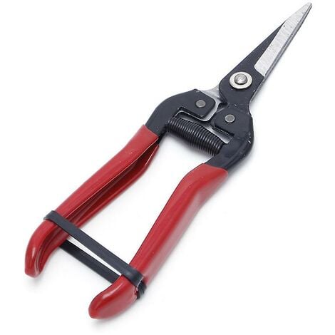 Plant store cutter scissors