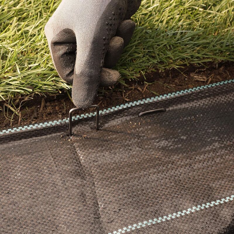 Piquets De Jardin Galvanisés - (Paquet De 100) 6 Inch Sardines De