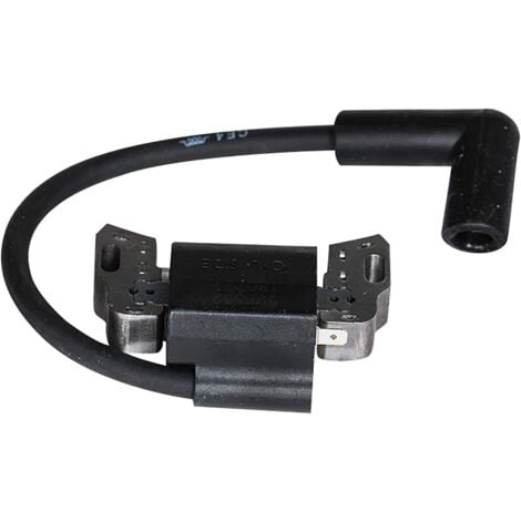 Bobine d'allumage Compatible avec 593872 799582 798534 Compatible avec Briggs & Stratton 08P500 08P600 093J02 09P600 09P700
