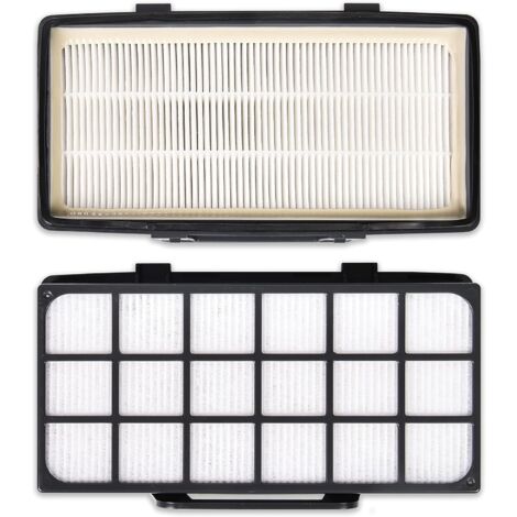 Filtres De Remplacement Pour Aspirateur Rowenta X-Trem – Préfiltre + HEPA, Compatible RO69xxEA, Référence ZR006001