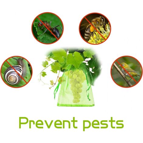 50 Pièces Sachets Protection Raisin SULIUDAJI 20x30cm - Organza Vert Réutilisables