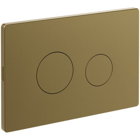 Colore Brushed Brass Pneumatic Dual Flush Plate with Round Buttons