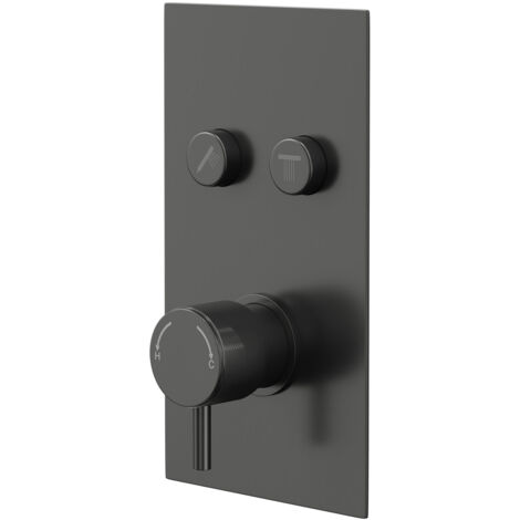 Colore Round Gunmetal Grey Concealed Push Button Shower Valve with Fully Knurled Control Handle - 2 Outlet