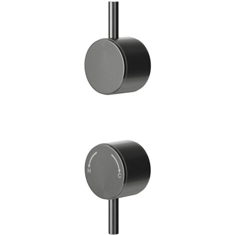 Colore Gunmetal Grey Industrial Style Fully Knurled Control Handle Set for Twin Shower Valve (1/5)