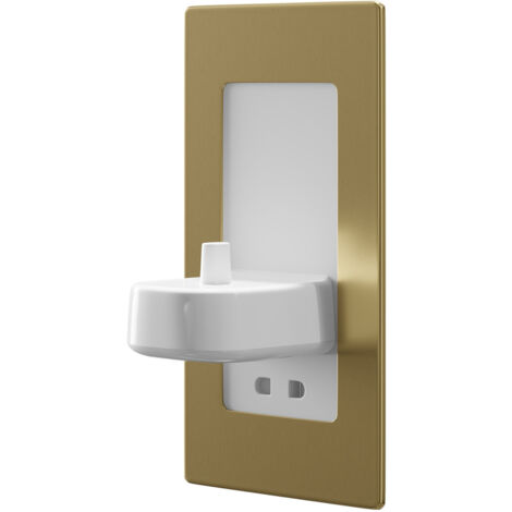 ProofVision Brushed Brass In-Wall Electric Toothbrush Charger and Shaver Combo - PV12P-B-FR (1/5)