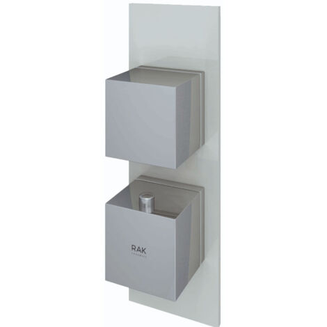 RAK Feeling Greige Square Concealed Thermostatic Single Control Shower Valve - RAKFSV1505S (1/2)