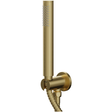 Colore Round Brushed Brass Shower Outlet Holder and Kit (1/5)