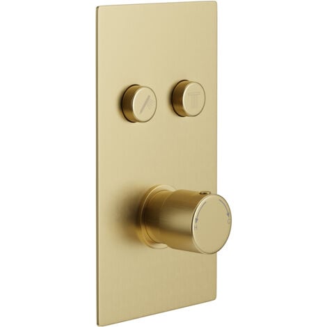 Colore Round Brushed Brass Concealed Push Button Shower Valve - 2 Outlet