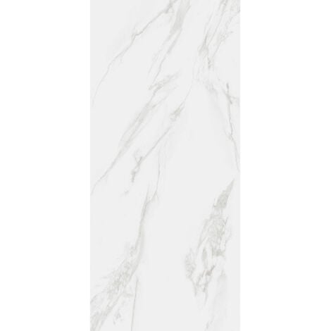 RAK Classic Carrara Grey Matt 60cm x 120cm Porcelain Wall and Floor Tile - A12GZCRR-GRY-M0X5R