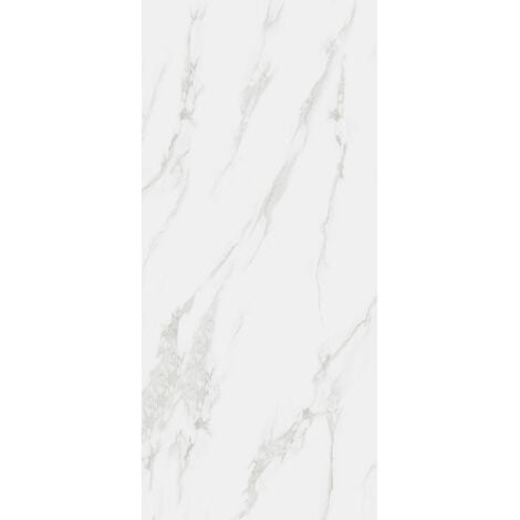 RAK Classic Carrara Grey Matt 60cm x 120cm Porcelain Wall and Floor Tile - A12GZCRR-GRY-M0X5R