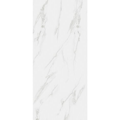 RAK Classic Carrara Grey Matt 60cm x 120cm Porcelain Wall and Floor Tile - A12GZCRR-GRY-M0X5R