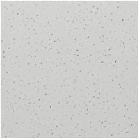 WholePanel 10mm White Galaxy 1000mm x 2400mm Wall Panel - White
