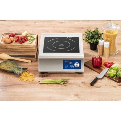 Induction Cooker Induction Hot Plate Induction Hob 33cm 60 240 C Timer