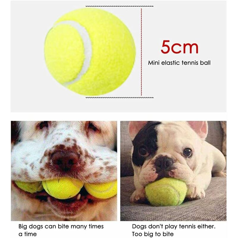 Lanceur de balle pour chiens, lot de 4 frondes, Manche pour balles de tennis,  jouet pour chiens, bleu/vert