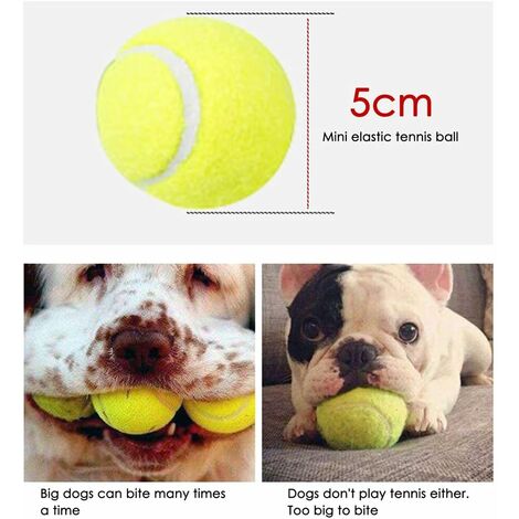 Lanceur de balle de tennis pour chien + balle, 48 cm, noir