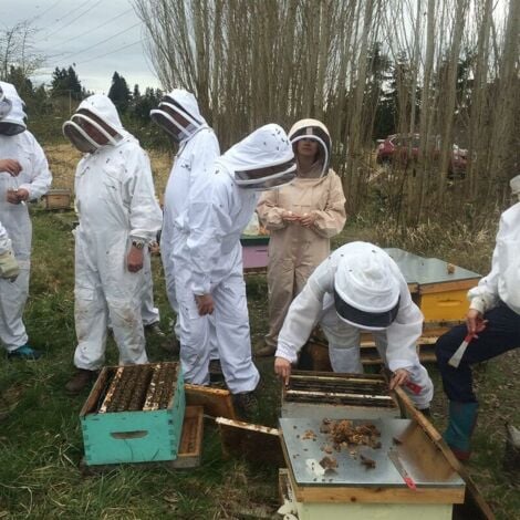 Vêtements D'apiculture Avec Des Gants, Combinaison D'apiculteur En Coton  Naturel Avec Voile D'escrime